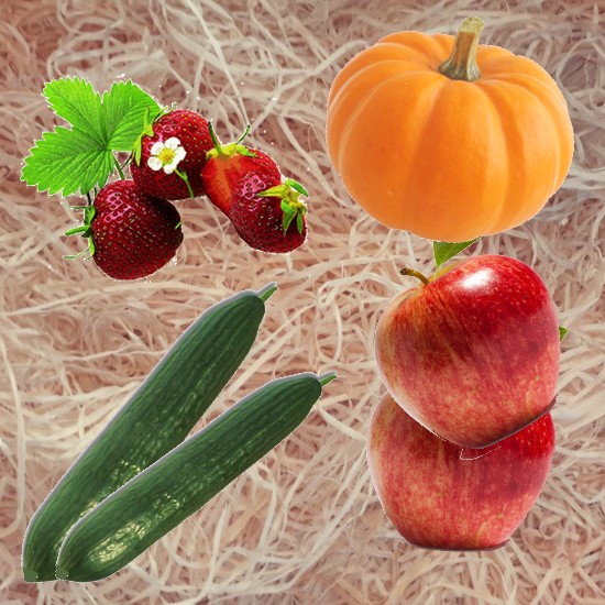 Erbeerholzwolle Gartenholzwolle Gemüseholzwolle kaufen